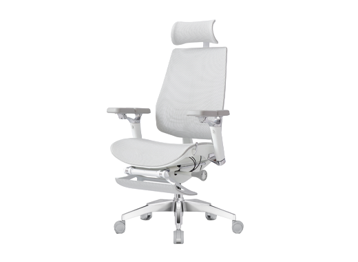 כיסאות משרדיים פרימיום