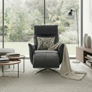 כורסת טלוויזיה אניטה | Anita