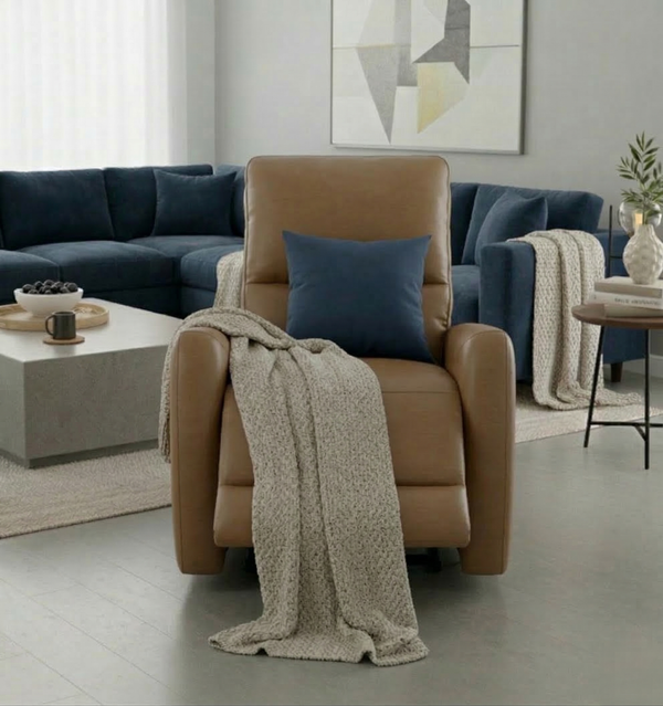 כורסת טלוויזיה לינק